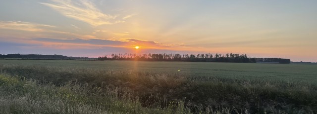 Geen zonnig vooruitzicht
